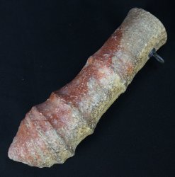 Wabisabi Mie Kiln 1970