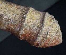 Wabisabi Mie Kiln 1970