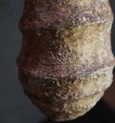 Wabisabi Mie Kiln 1970