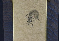 Wabisabi Tanzashi mice 1900