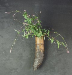 Wabisabi Ikebana 1900 bamboo