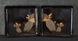 Wasabi tray 1900