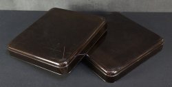 Wasabi tray 1900