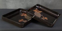 Wasabi tray 1900