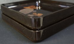 Wasabi tray 1900