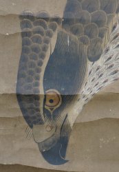 Washi eagle and fox 1700