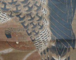 Washi eagle and fox 1700