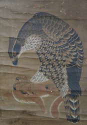 Washi eagle and fox 1700