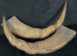 water buffalo horns dragon 1950