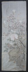 Wild flowers 1800