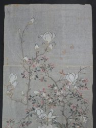 Wild flowers 1800
