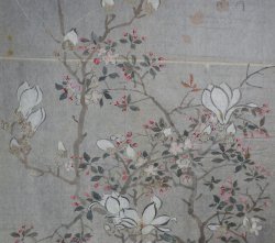 Wild flowers 1800