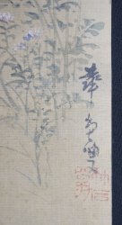 Wild flowers 1900 Tanzaku