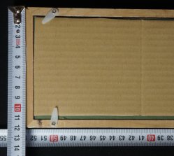 Wild flowers 1900 Tanzaku