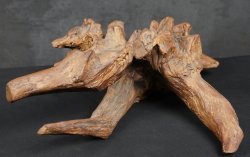 Wood stand Wabisabi 1900