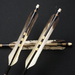 Ya arrow Kyudo 1900