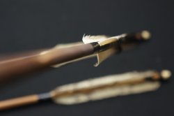 Ya arrow Kyudo 1900
