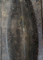 Yagen antique grinder 1700