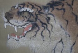 Yamado Nekotora tiger 1900