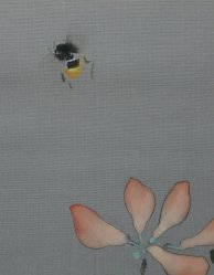 Zen bumblebee 1950