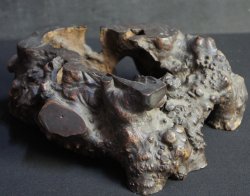 Zen wood sculpture 1900